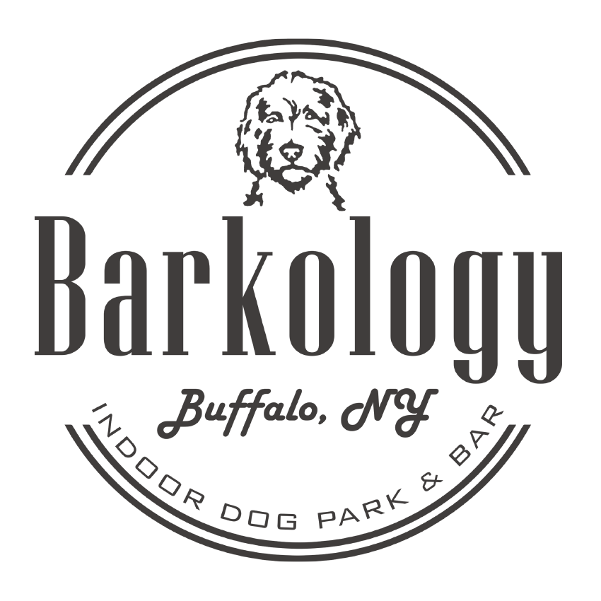 Barkology - Indoor Dog Park & Bar - Buffalo, NY